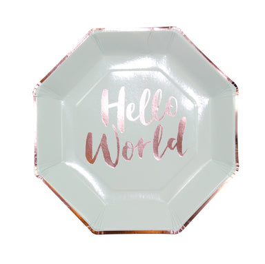 Rose gold hello world baby plates 