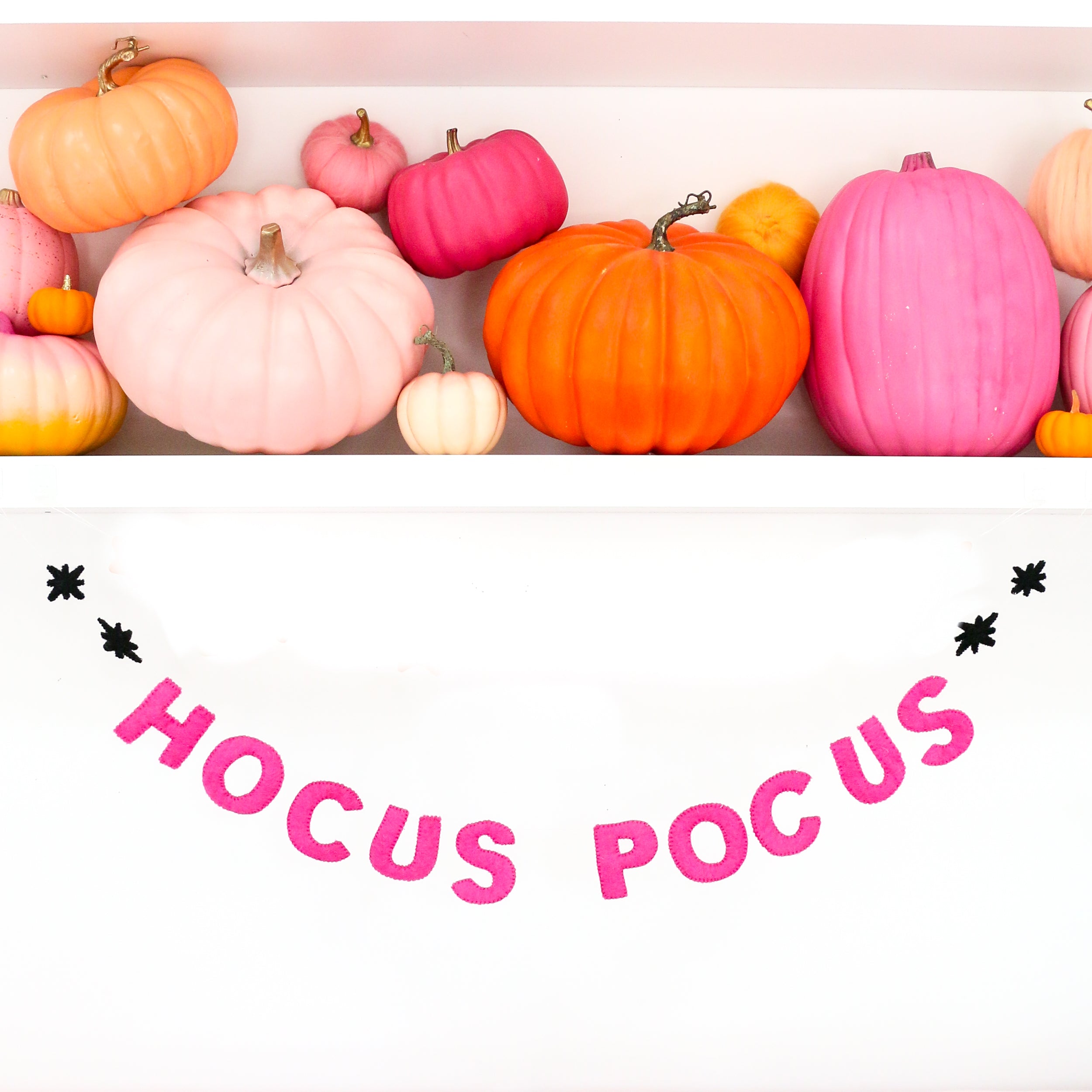 Hocus Pocus Felt Halloween Garland